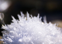 20110216_snow-img005