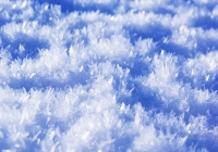 20110216_snow-img006
