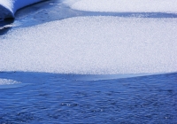 20110216_snow-img007