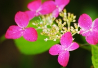 20110710_hujigongen02