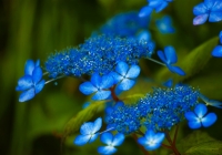 20110710_hujigongen03