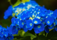 20110710_hujigongen04