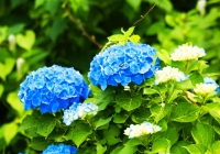 20110710_hujigongen07