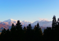 20111126_hanako002