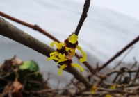 20120325-02