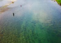 20120729_ayu03