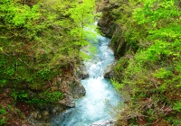 2012_sanasigawa