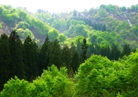 2012_shinryoku