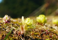 20130429_01