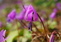 20130429_02