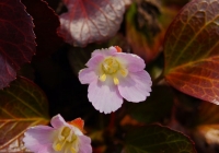 20130429_03