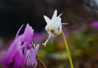 20130429_04