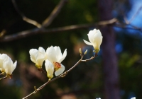 20130503_001