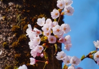 20130503_002