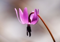 20130503_003