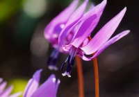 20130503_004