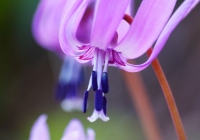 20130503_005