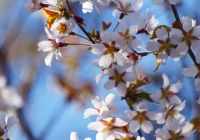 20130503_006