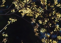 20130503_007