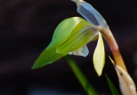 20130503_008