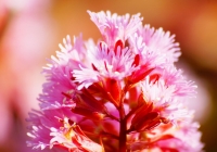20130503_009