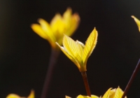 20130503_010