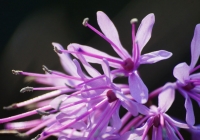 20130503_012