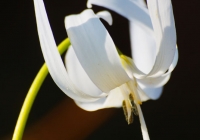 20130503_014