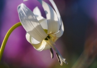 20130503_015