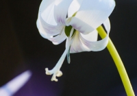 20130503_016