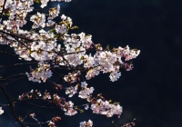 20130503_017